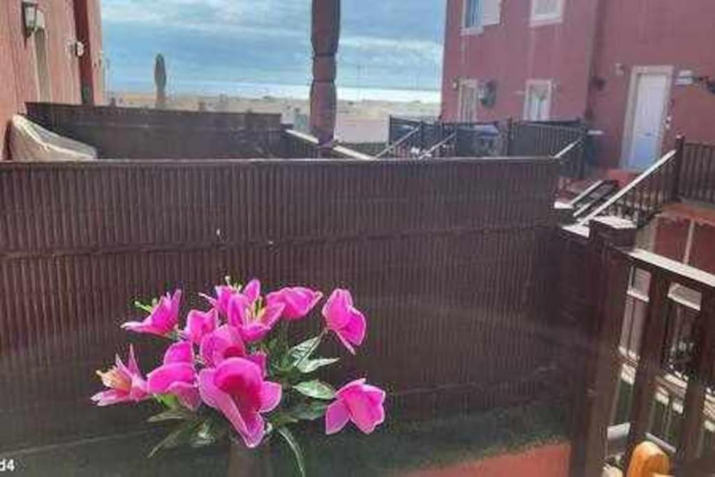 קוסטה דה אנטיגואה La Fenice Resort Antigua Bay מראה חיצוני תמונה